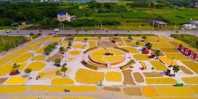 这个县城创造罚款收入下降“奇迹”开元棋牌app政府大楼旁可以摆摊(图9)